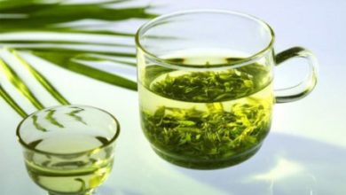 Фото - Может ли нанести вред организму зеленый чай