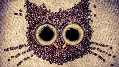 Фото - В мире может исчезнуть весь кофе уже через 30 лет