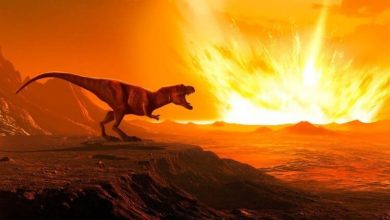 Фото - Динозавры вымерли из-за удара сразу двух астероидов?