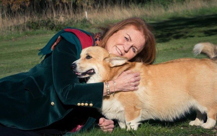 Фото - Бывшая невестка Елизаветы II отметила день рождения в компании собак Ее Величества