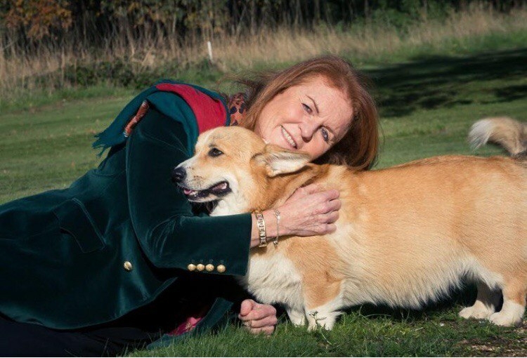 Бывшая невестка Елизаветы II отметила день рождения в компании собак Ее Величества