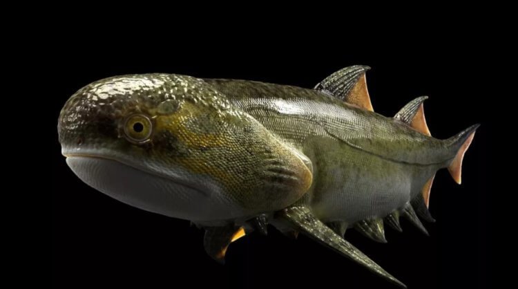 Посмотрите, как выглядела рыба возрастом 439 миллионов лет