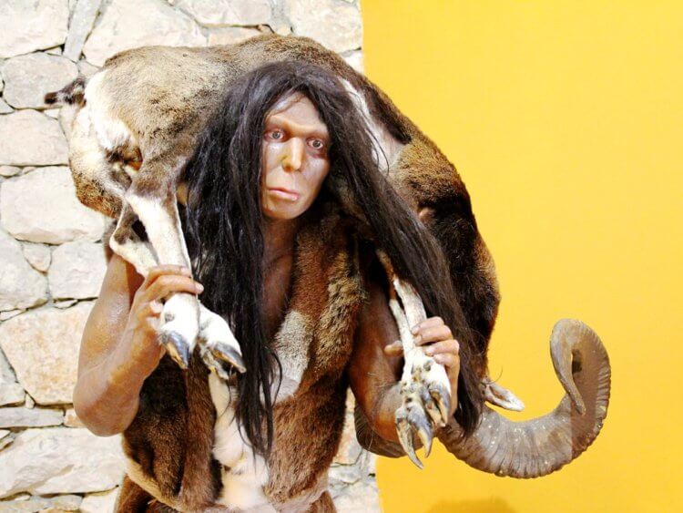 Ученые рассказали какой пищей питались неандертальцы
