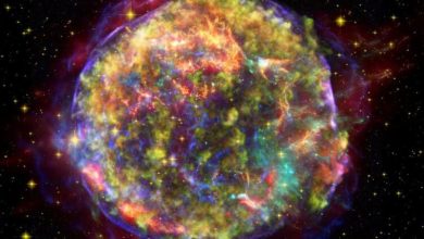 Фото - Ученые зафиксировали самый мощный за всю историю наблюдений взрыв сверхновой