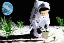 Фото - В 2025 году человечество начнет выращивать растения на Луне?